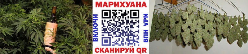 Canna-Cookies марихуана  Павловская 
